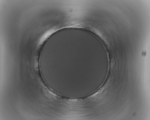 X0000091101455200709041313