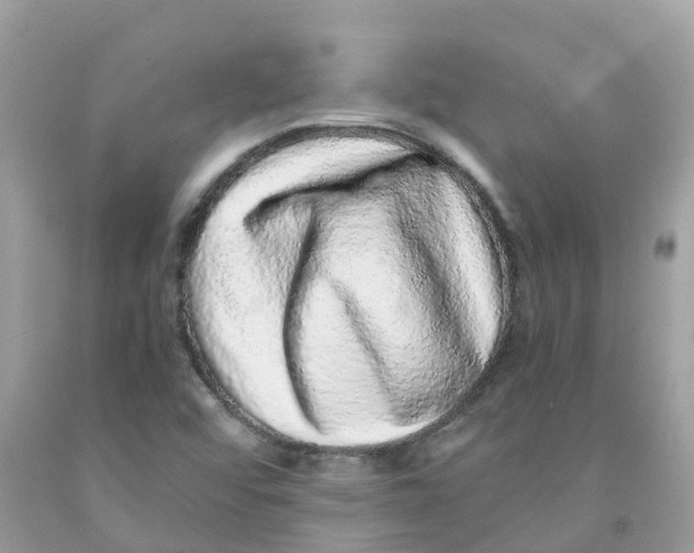 X0000091101456200709041313