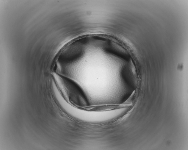 X0000091101457200709041313