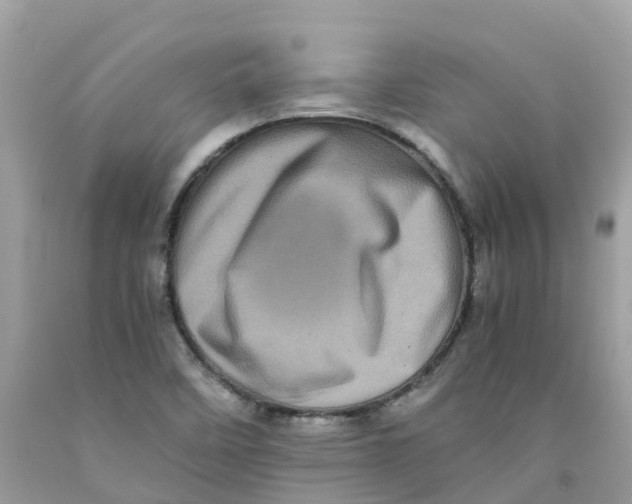 X0000091101458200709041313