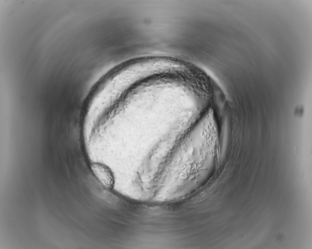 X0000091101460200709041313