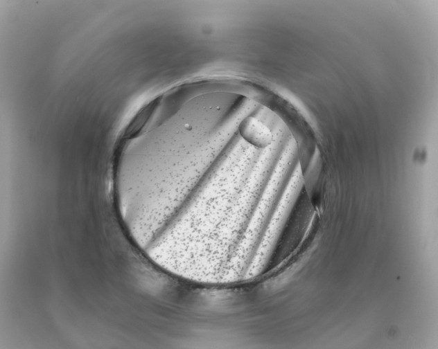 X0000091101461200709041313