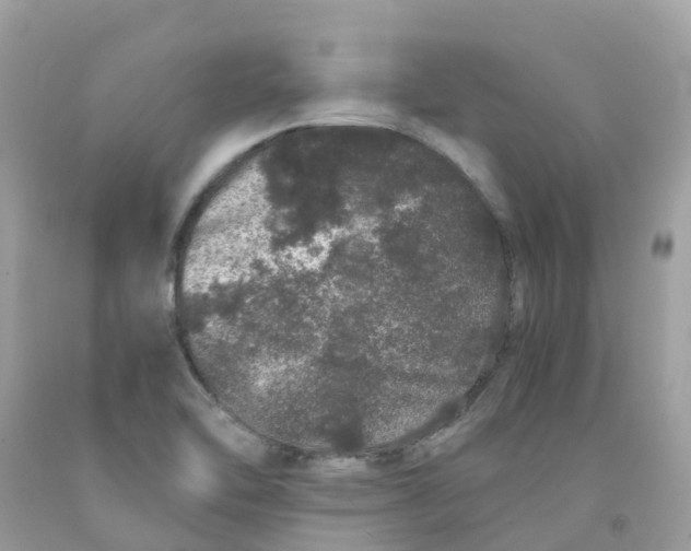 X0000091101462200709041313