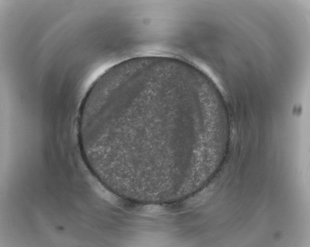 X0000091101463200709041313