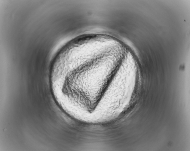 X0000091101464200709041313