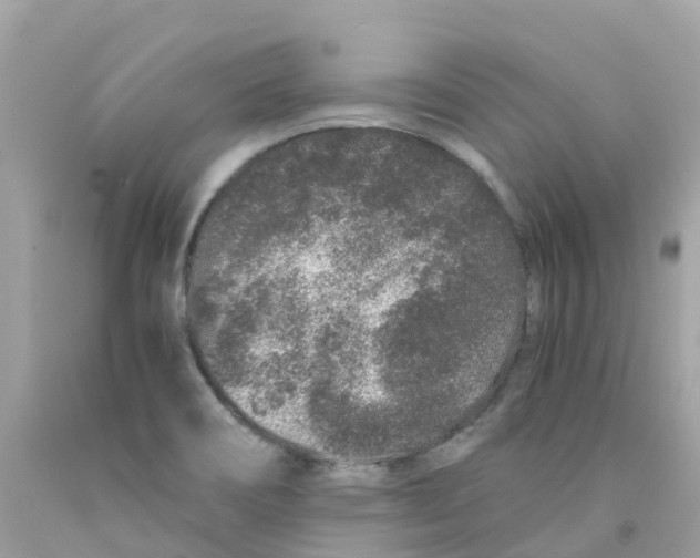 X0000091101466200709041313