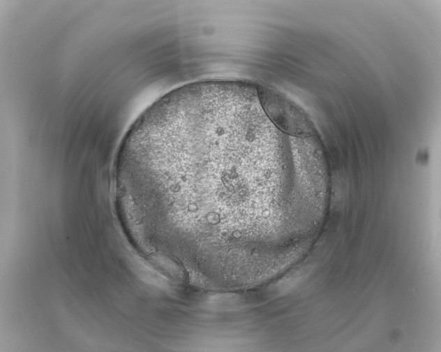 X0000091101467200709041313