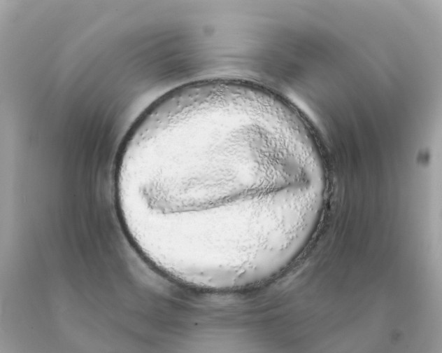 X0000091101468200709041313