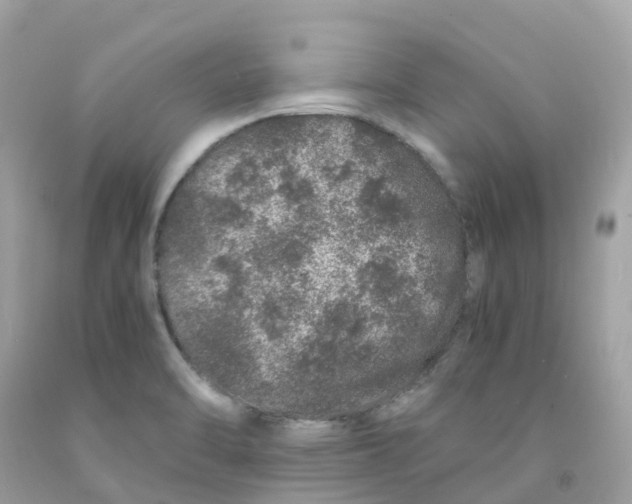 X0000091101470200709041313