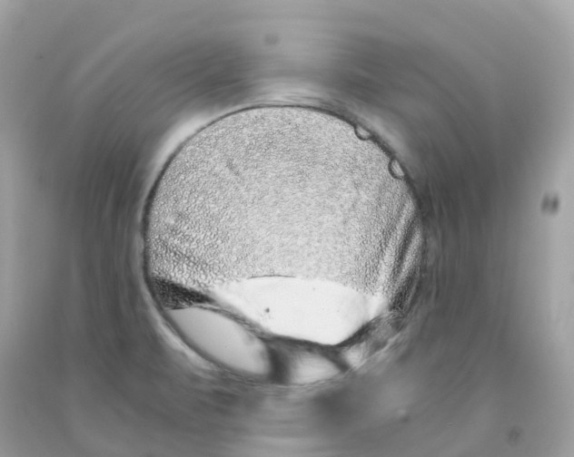 X0000091101471200709041313