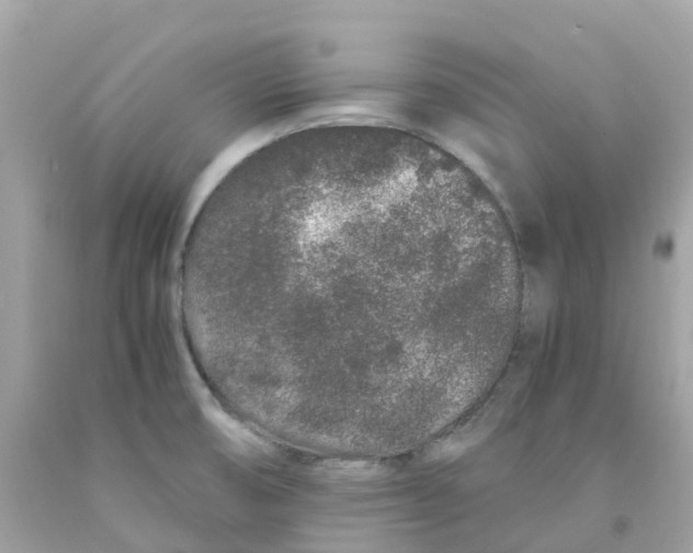 X0000091101474200709041313