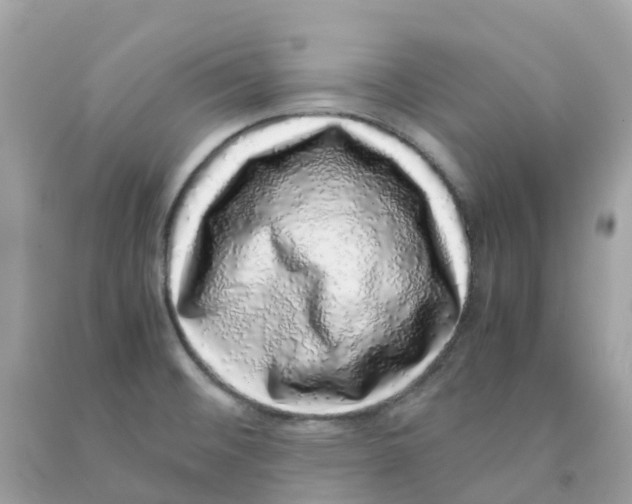 X0000091101476200709041313