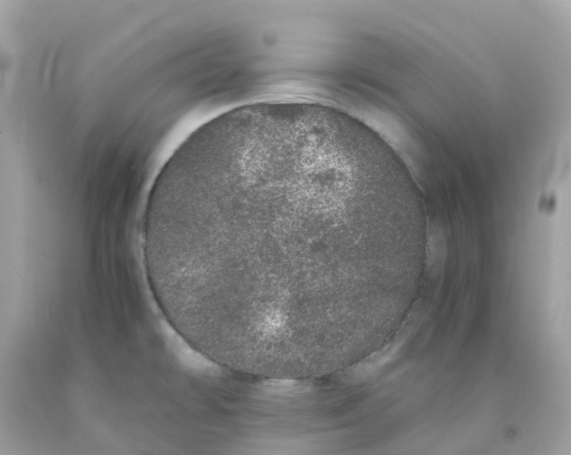 X0000091101478200709041313