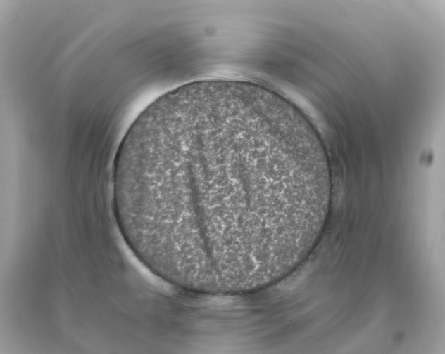 X0000091101479200709041313