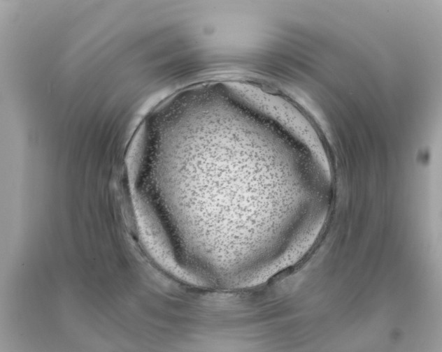 X0000091101481200709041313