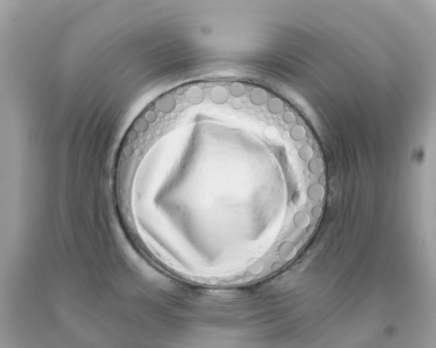 X0000091101483200709041313