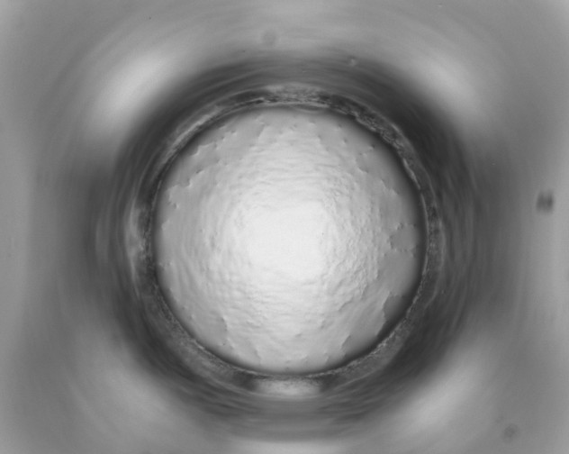 X0000091101487200709041313