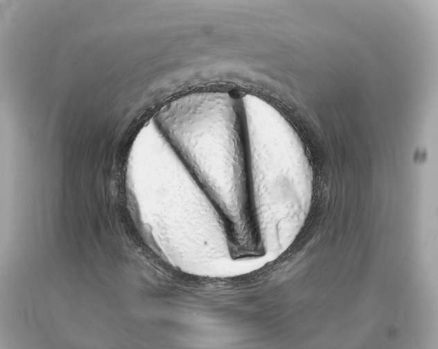 X0000091101490200709041312