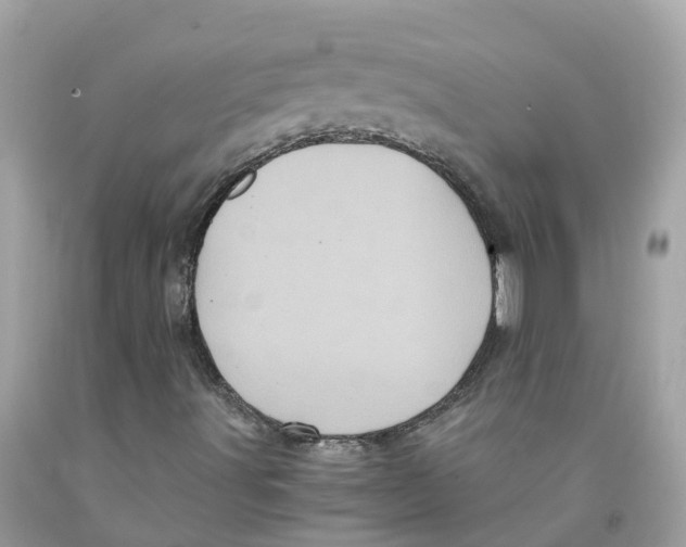 X0000091101491200709041312