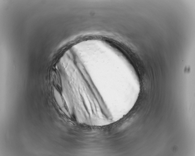 X0000091101494200709041312