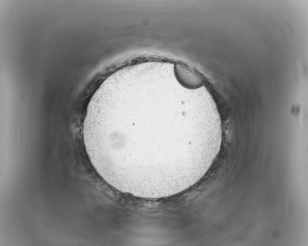 X0000091101495200709041312