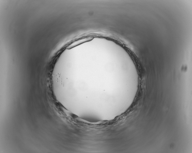 X0000091101496200709041312