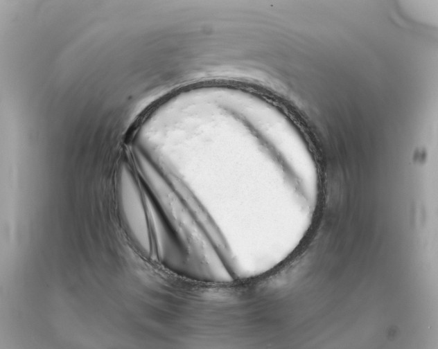 X0000091101497200709041312