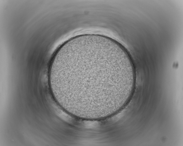 X0000091101498200709041312