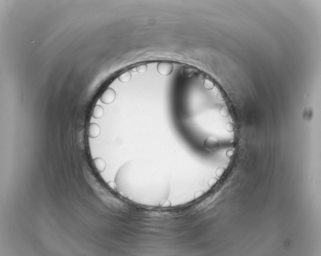 X0000091101499200709041312