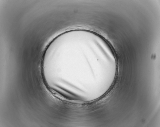 X0000091101500200709041312