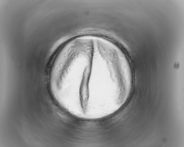 X0000091101501200709041312