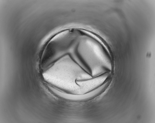 X0000091101502200709041312