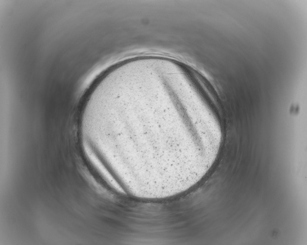 X0000091101503200709041312