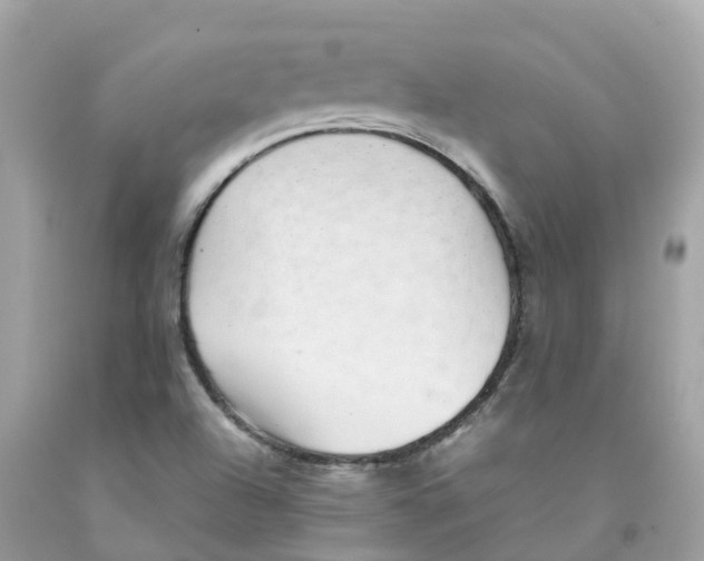 X0000091101504200709041312