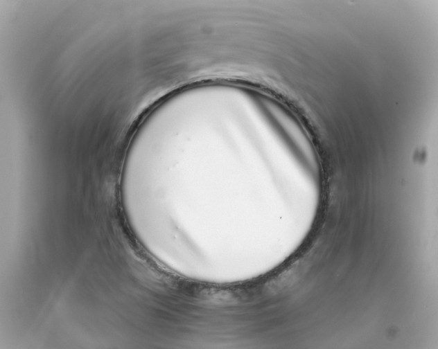 X0000091101505200709041312