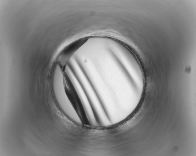 X0000091101506200709041312