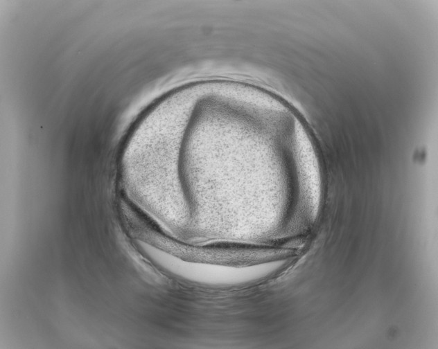 X0000091101507200709041312