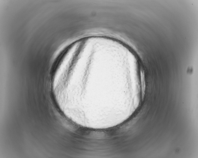 X0000091101509200709041312