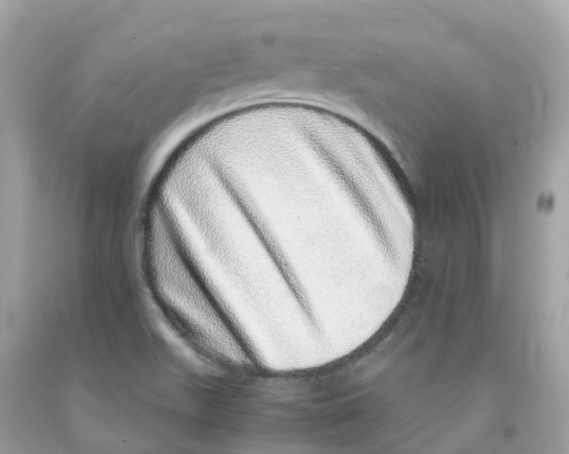 X0000091101511200709041312