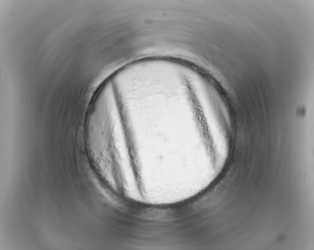 X0000091101513200709041312