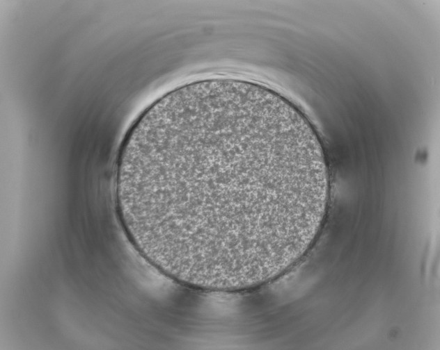 X0000091101514200709041312