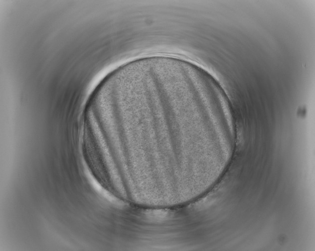 X0000091101515200709041312