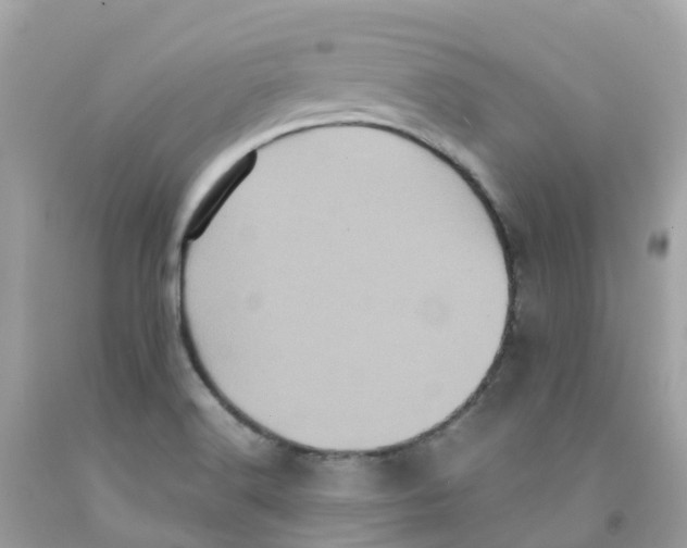 X0000091101516200709041312