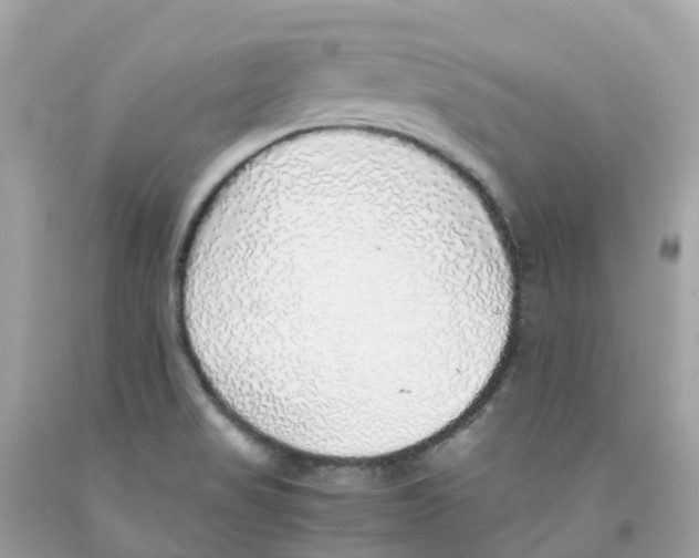 X0000091101517200709041312