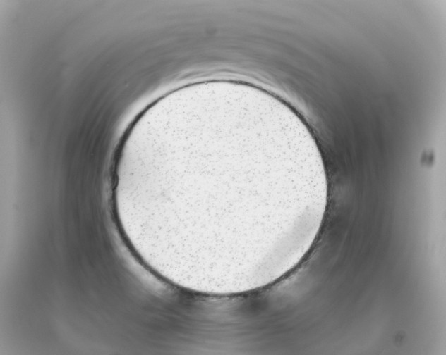 X0000091101518200709041313