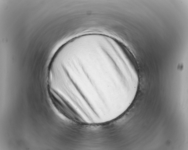 X0000091101519200709041313