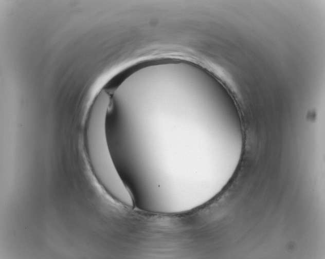 X0000091101520200709041313