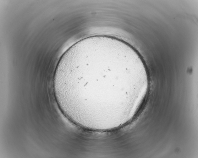 X0000091101521200709041313