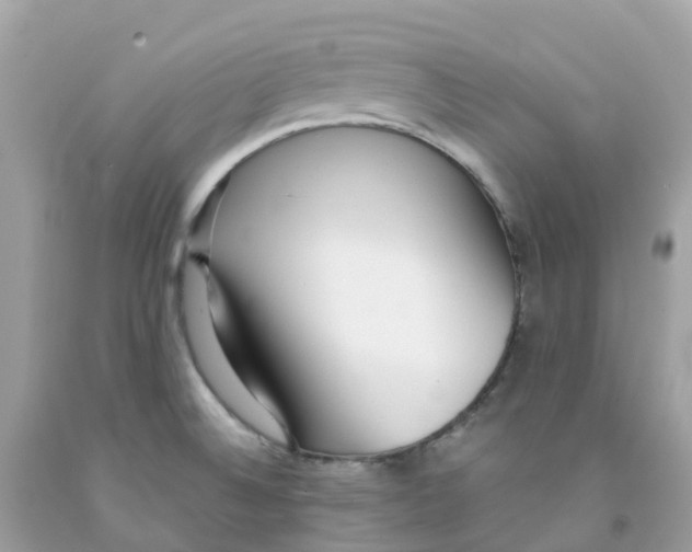 X0000091101524200709041313