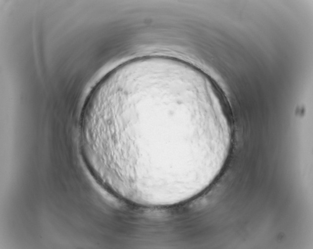 X0000091101525200709041313